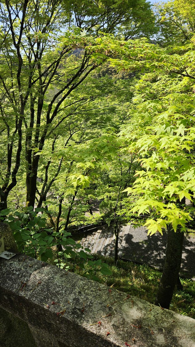 ムビサポQ┊︎映像制作 tweet media