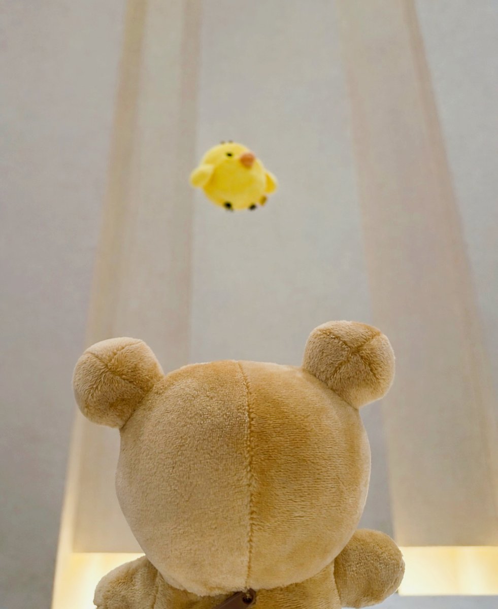 rilakkuma_anime's tweet photo. キイロイトリを発見…！！！👀

#リラックマアニメ #ぬい撮り https://t.co/JsYa72s7OA