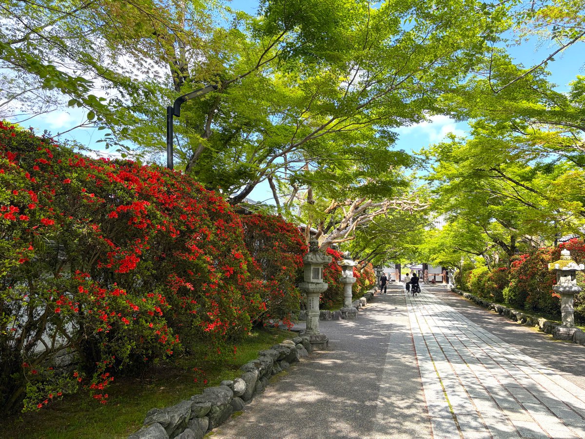 石山寺  Ishiyamadera tweet media