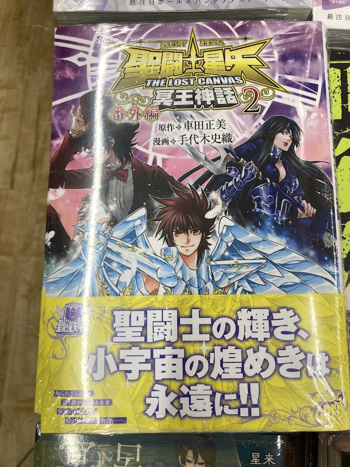 聖闘士星矢ロストキャンバス カプリコーン アニメイト 特典 ペーパー 非売品 聖闘士星矢ロストキャンバス カプリコーン アニメイト 特典 ペーパー
