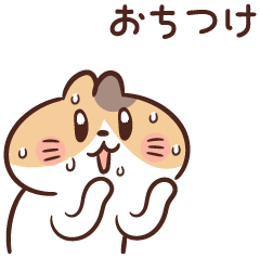 芳澤洋子@大阪🐸🚀専業 tweet media