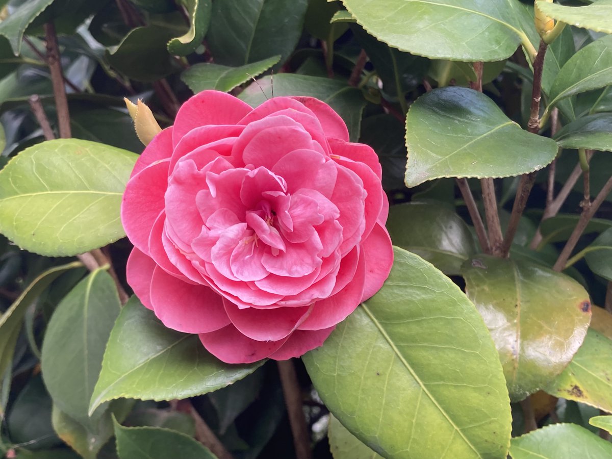 萬衛門 tweet media