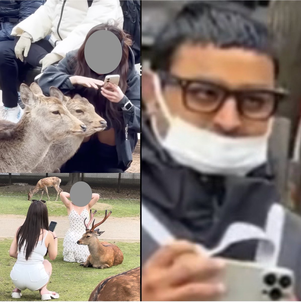 👮このインド人はほぼ現行犯逮捕してもいいくらいの男です

🔥奈良公園で鹿と戯れる女性を盗撮し、自分のYouTubeチャンネルに勝手にアップロードし稼ぐ
🔥京都の花街で禁止されている舞妓さんへの撮影や付き纏いをする

このYouTubeチャンネルはBANされるべきです。ほぼ性犯罪者です。