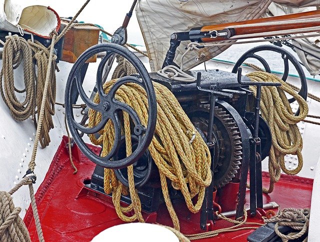 Max Lavin tweet media