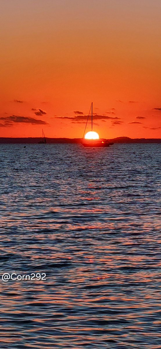 🅒︎🅞︎🅡︎N tweet media