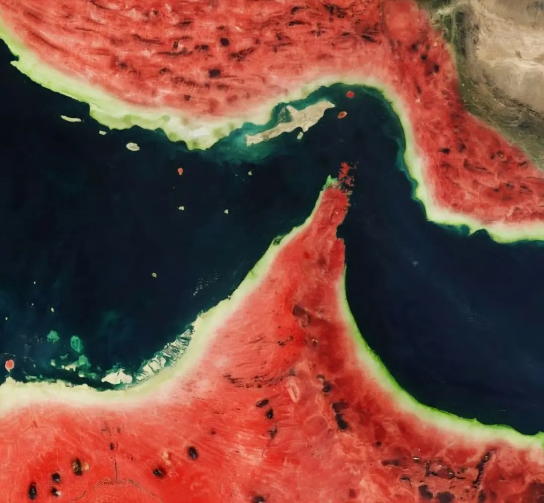 TughlaqiVandal's tweet image. #patriots in charge