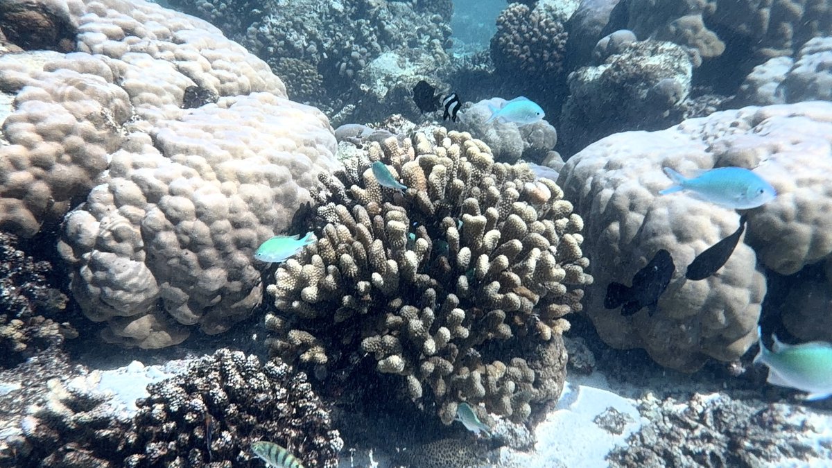 純@地方公務員投資家 tweet media