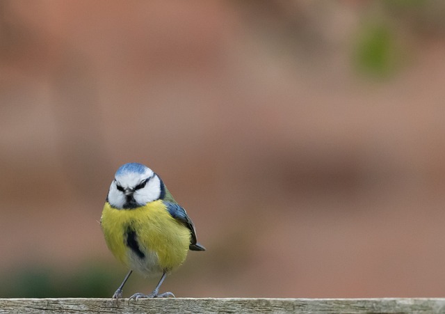 Lauren Sanchez tweet media