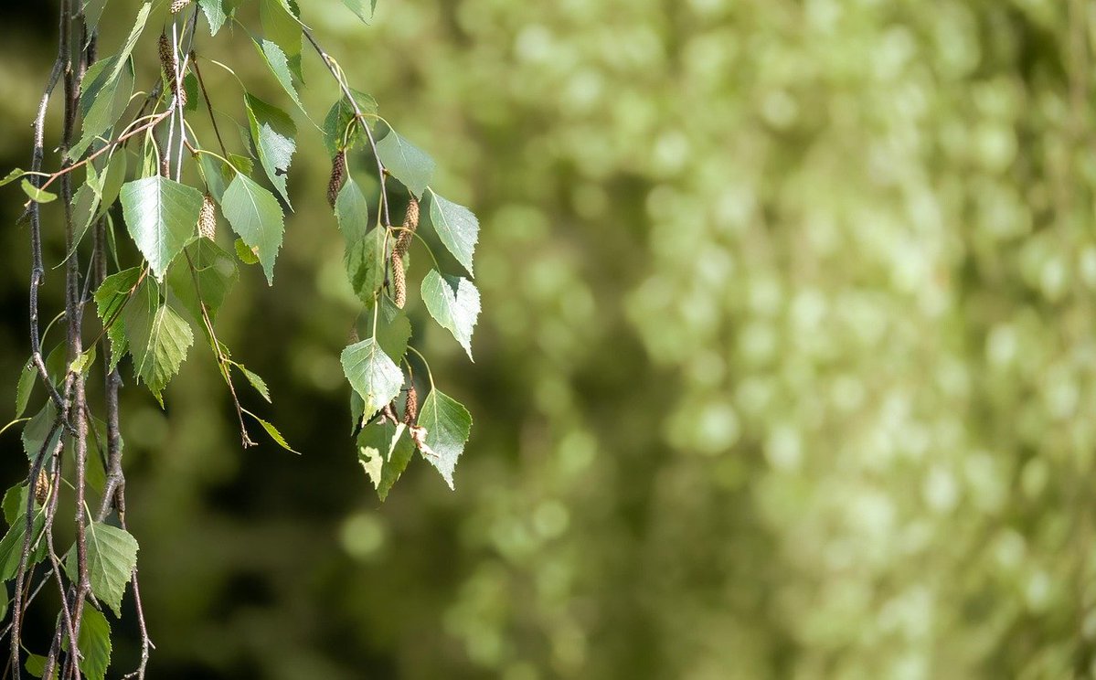 Jamie Ball tweet media