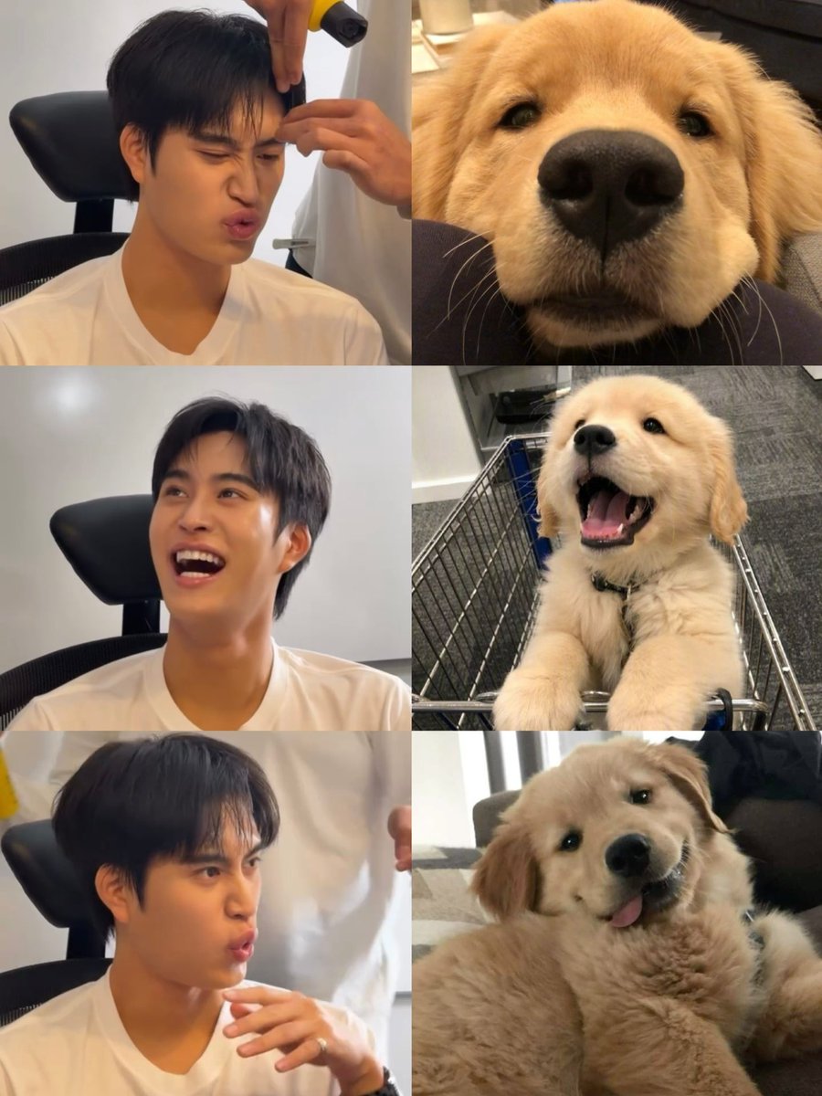 ม๋าบ้อกกกกก 🐶🫳🏻💖🥹

#Gemini_Nt #เจมีไนน์