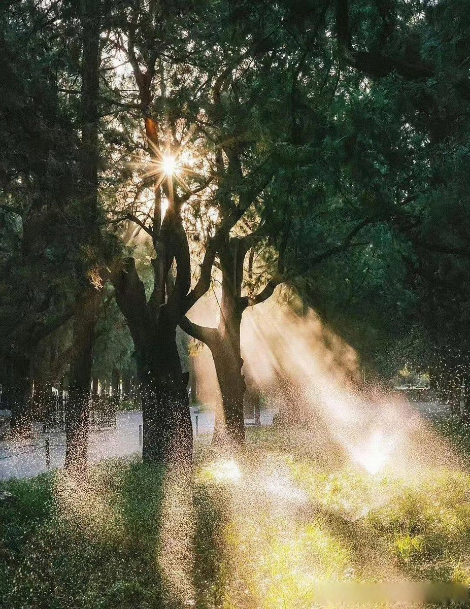 Megumin46623139's tweet image. "Join our Community Clean-Up Day this Sat!  Meet at the park at 9AM—bring gloves, leave with pride. Let’s make our neighborhood shine!  #CommunityLove #LocalGood"