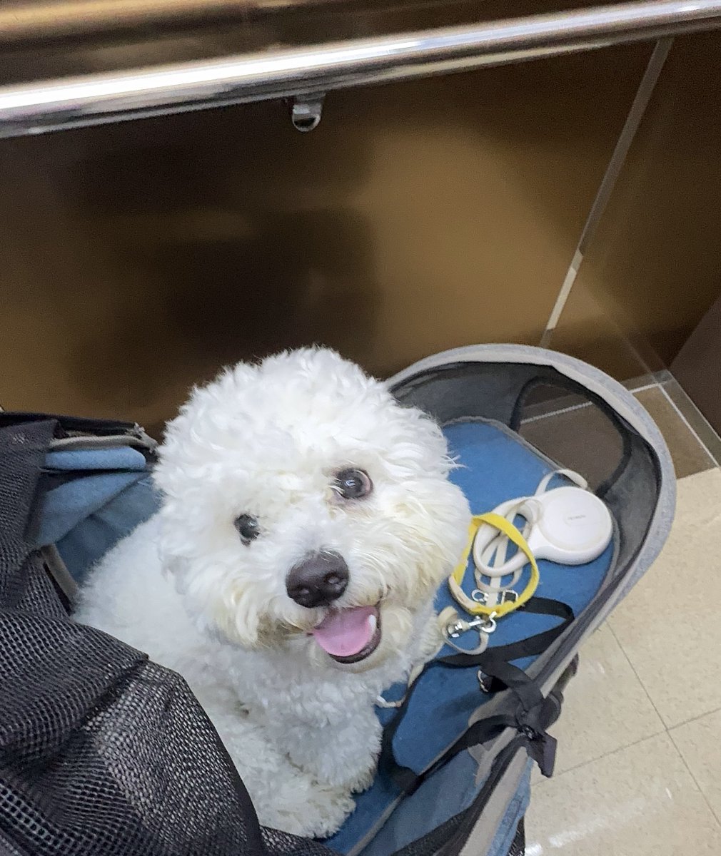 방긋이 tweet media