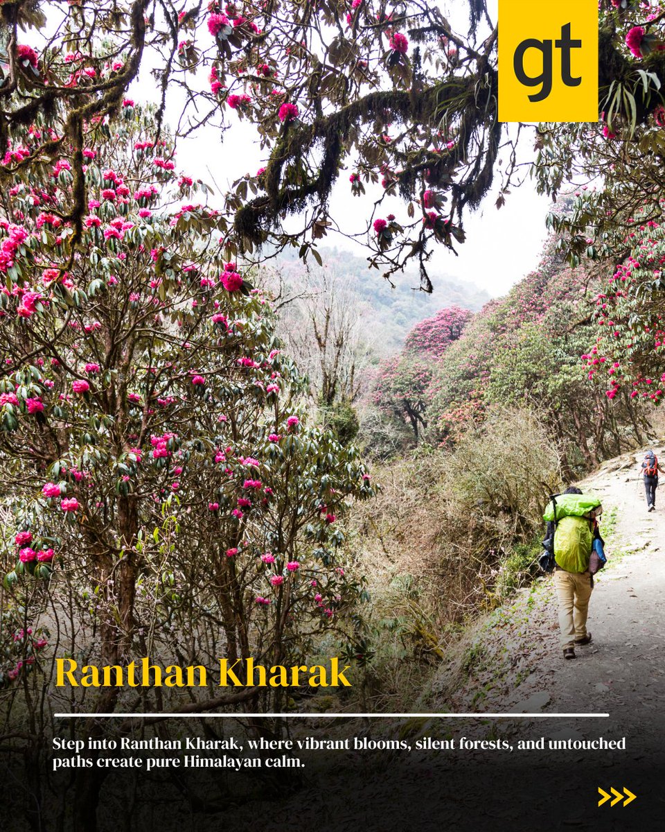gtholidays_'s tweet image. Chase the vibrant bloom of rhododendrons along the breathtaking trails of Himalayas—where every step feels like walking through a natural paradise in full color.

For the best customer experience, call us at 9940882200.

#himalayantrek #rhododendronbloom #natureescape #gtholidays