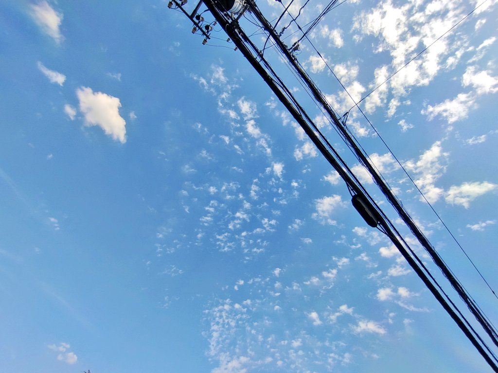 新田京助(ﾆｯﾀ ｷｮｳｽｹ) tweet media