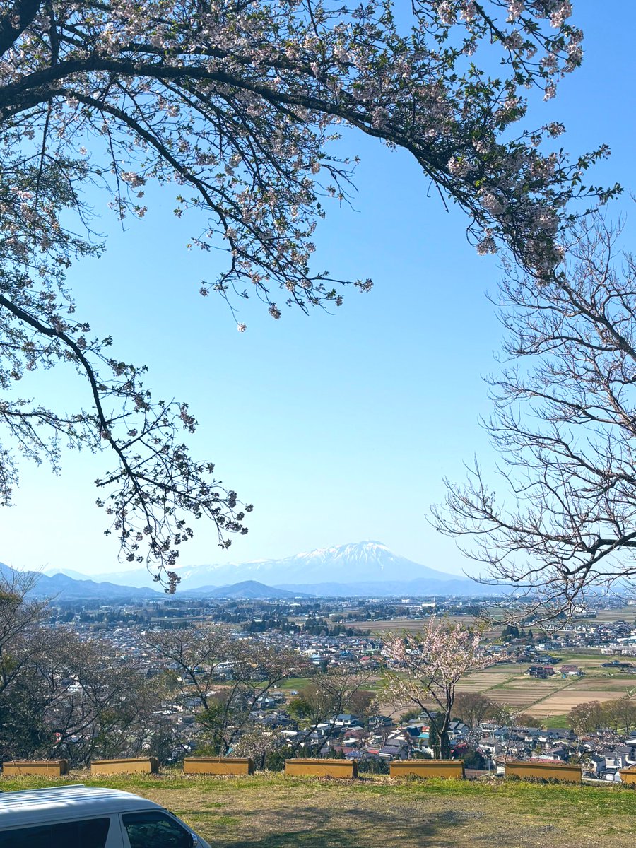 茜叶おと🦖 tweet media