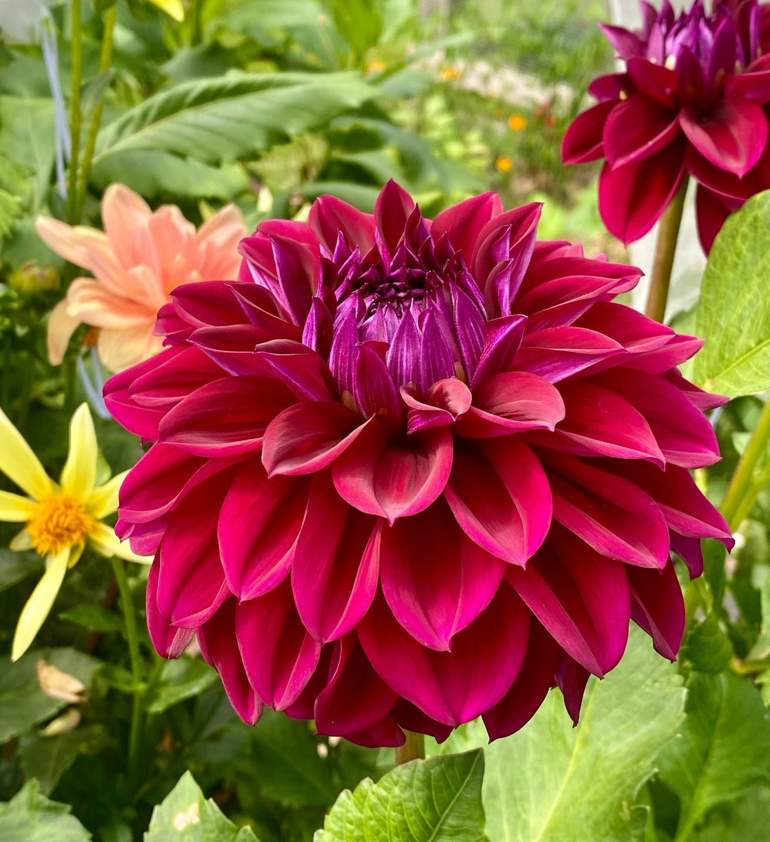 mzu2013's tweet image. "One who knows how to show and to accept kindness will be a friend better than any possession..."

Happy Monday 😘🌸 🦋☀️🍀

#MondayMotivation