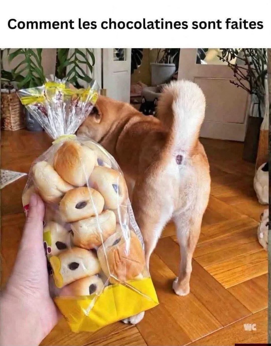 🎀🇨🇵Pam Ⓜ️💝💙🤍❤️🙏 tweet media