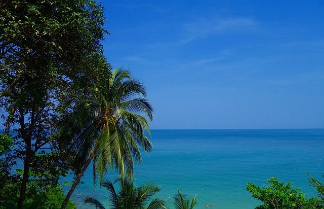 Ruthie Harlukowicz tweet media