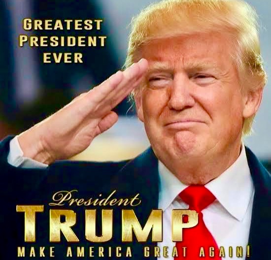 Donna OMeara tweet media