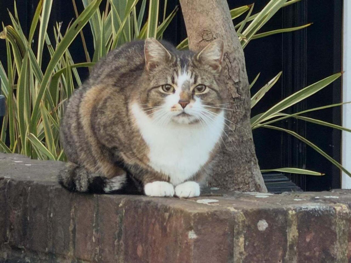 Timothy_Hughes's tweet image. Good morning! #morning #goodmorning #morningmotivation #run #running instagr.am/p/DXV5049CDVf/