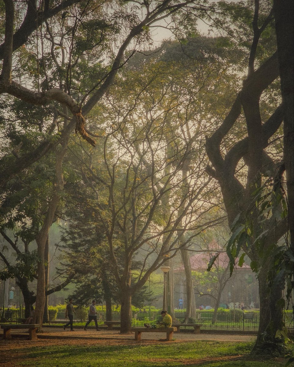 Siddharth's Echelon tweet media