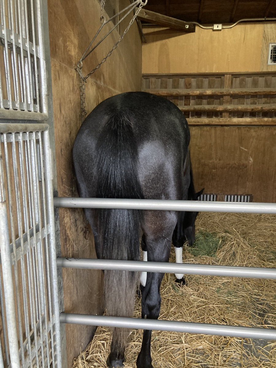 YOSUKE IMAFUKU tweet media