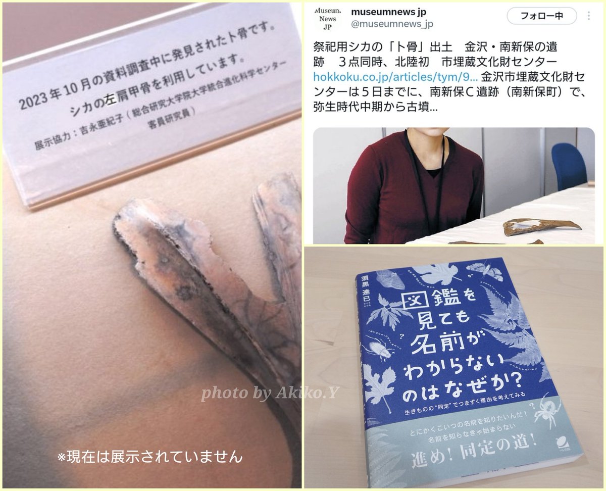 Akiko.Y🚪👿 tweet media