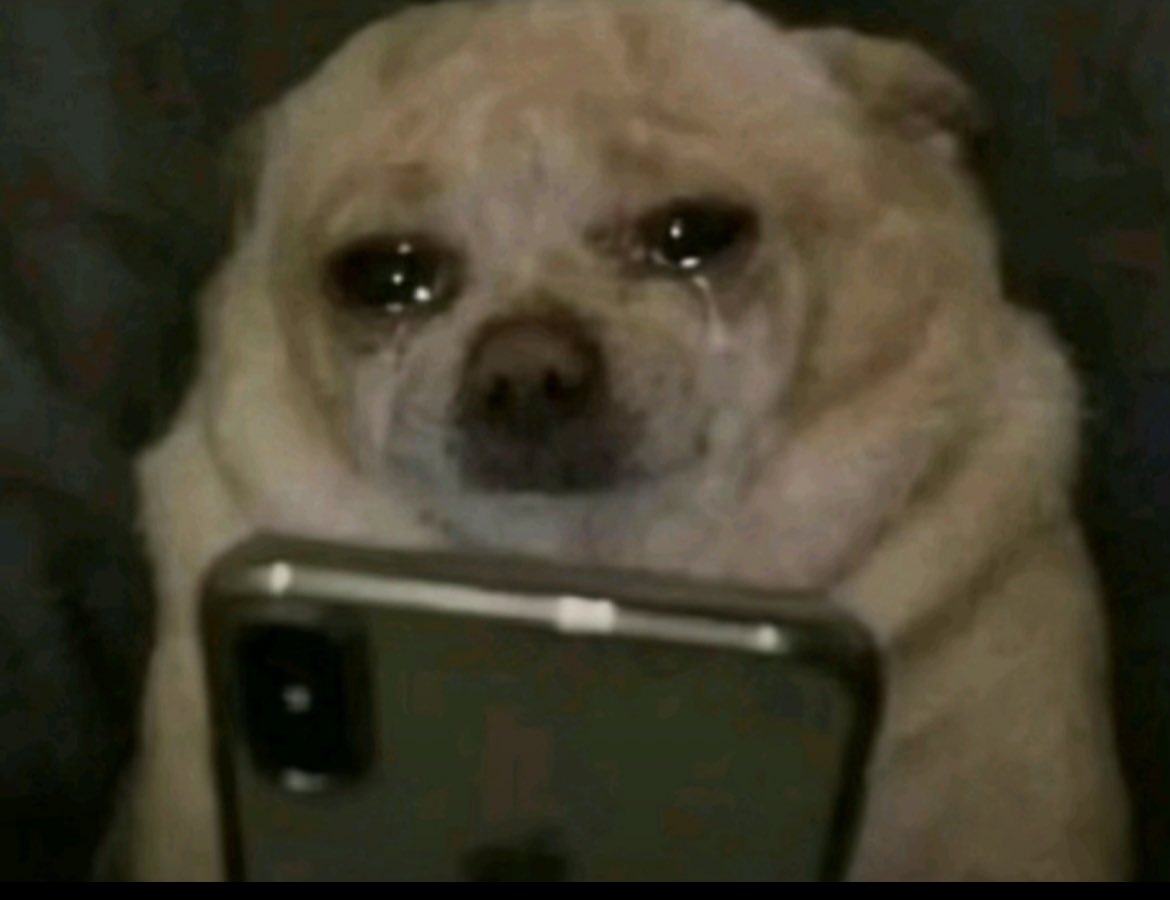 Andrea Mercury ᴬᴬ🐾🦇 tweet media