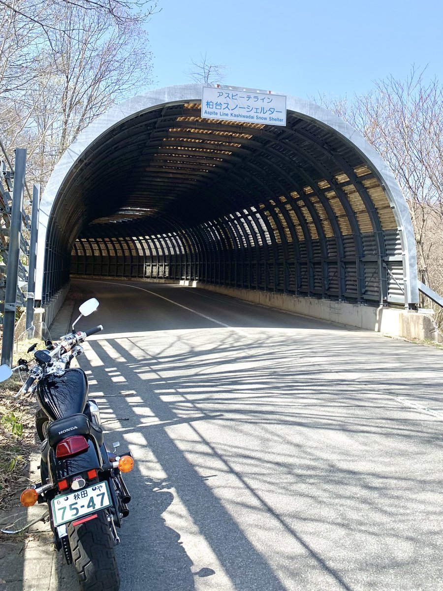 はぴたん tweet media