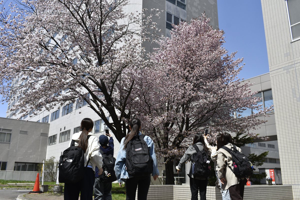 札幌市立大学 tweet media