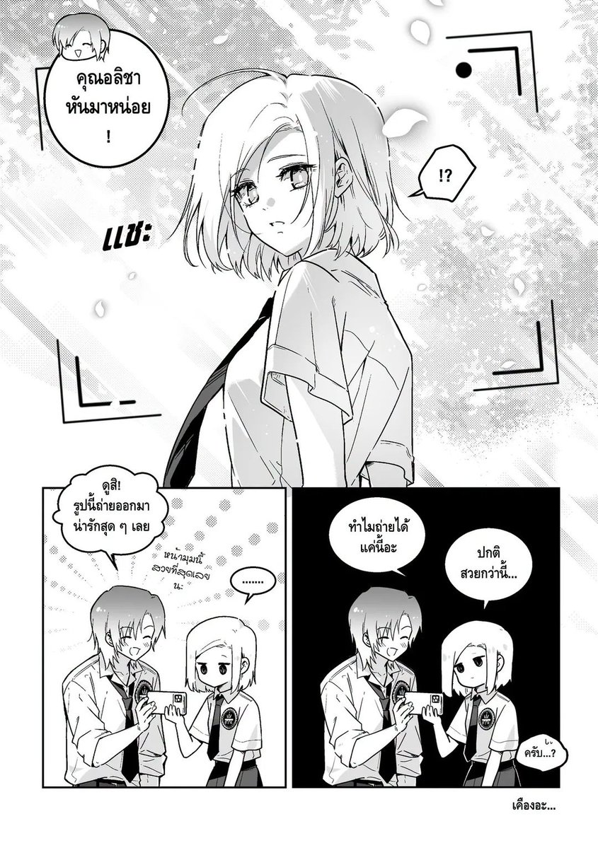 lonely cat365day tweet media