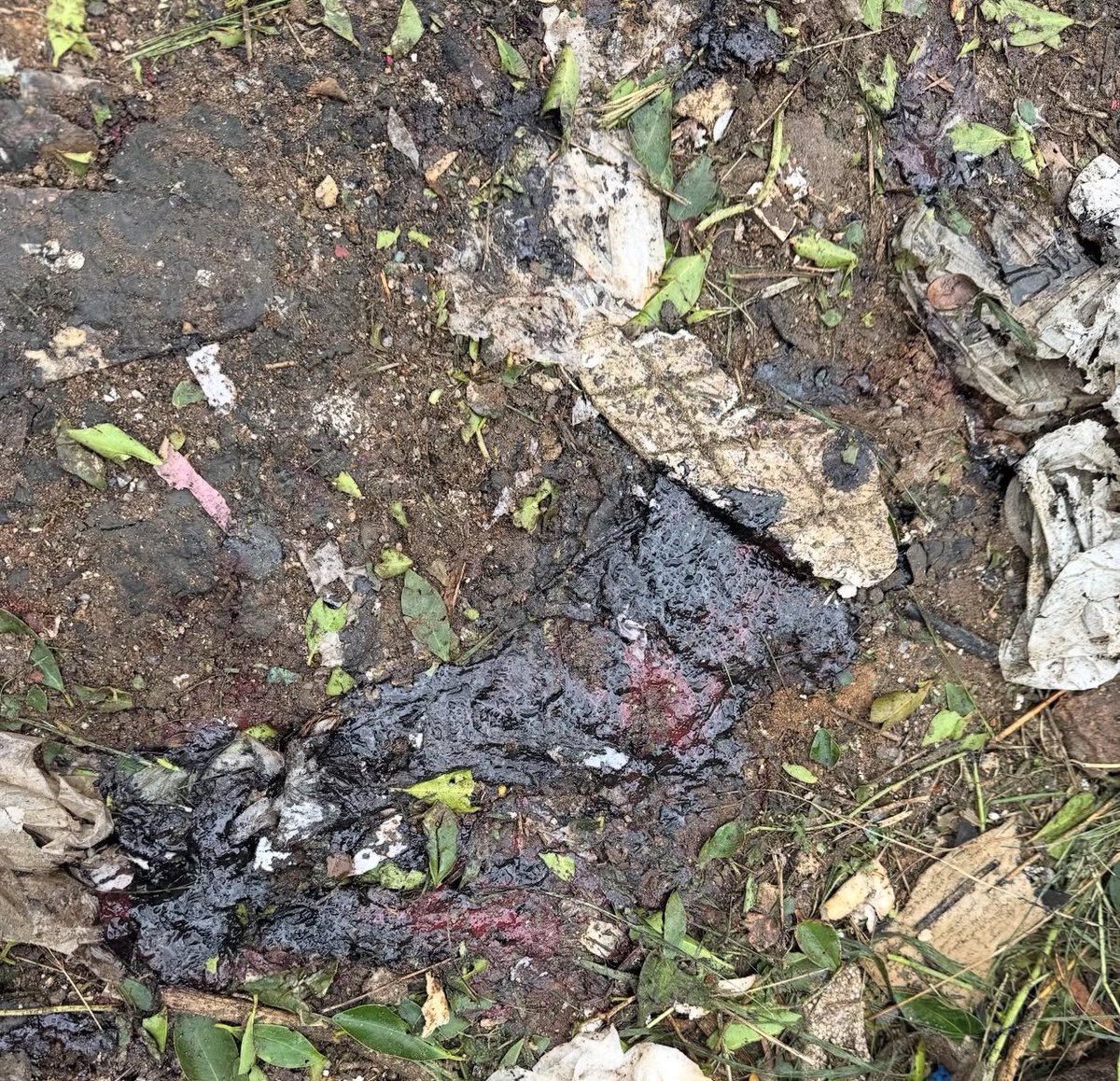 Zeinabwael tweet media