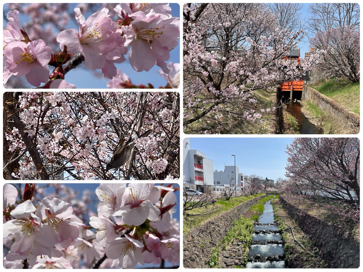 keihin.canal tweet media