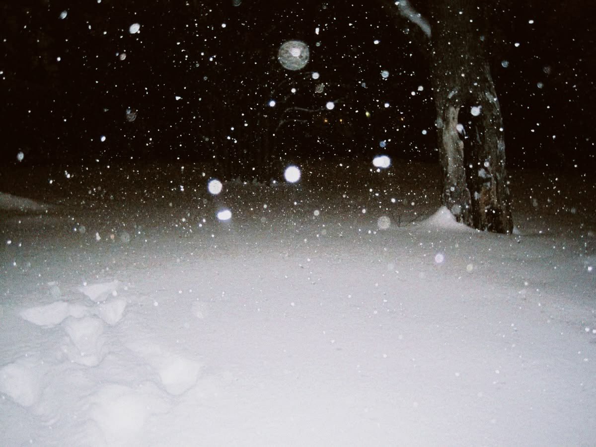 BIGTRIPMINE9000's tweet image. #searching for that they/them agender #santaclaus holiday PUSSY!!!!!!!!!!!!!!!!