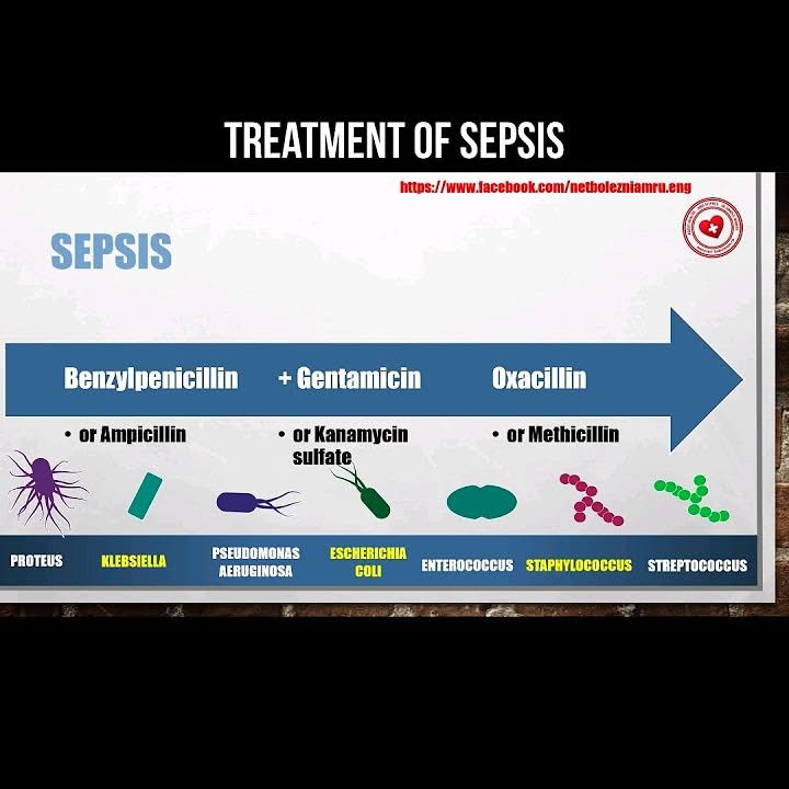 AllScientifical's tweet image. Treatment of sepsis #infection #sepsis #treatment #medicine
 ... Continue to: youtube.com/shorts/U8o8fRB…