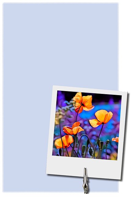 Carl Richards tweet media