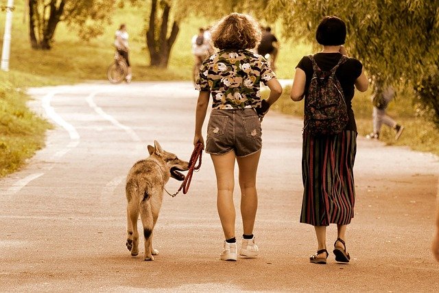 George Lacout tweet media