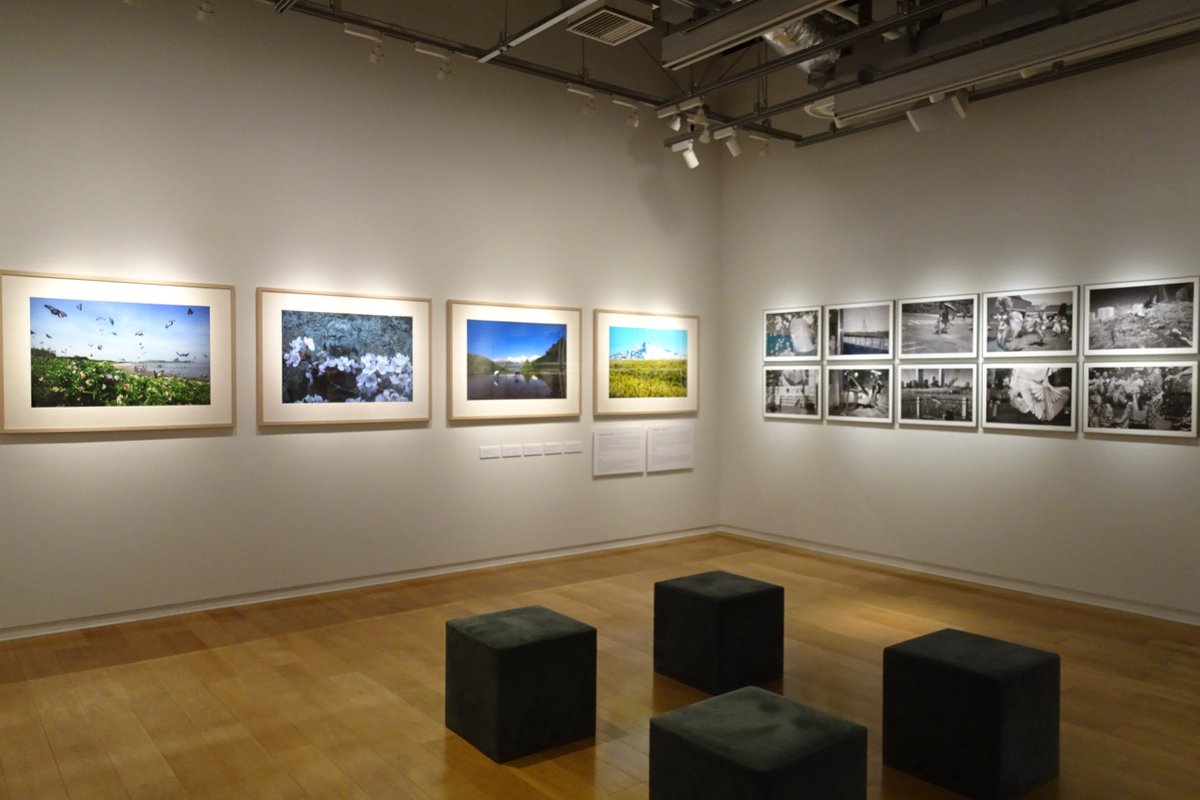 Sony Imaging Gallery tweet media
