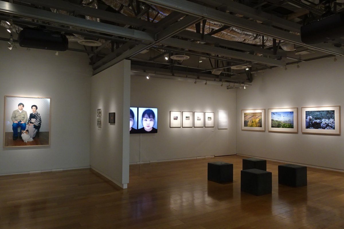 Sony Imaging Gallery tweet media
