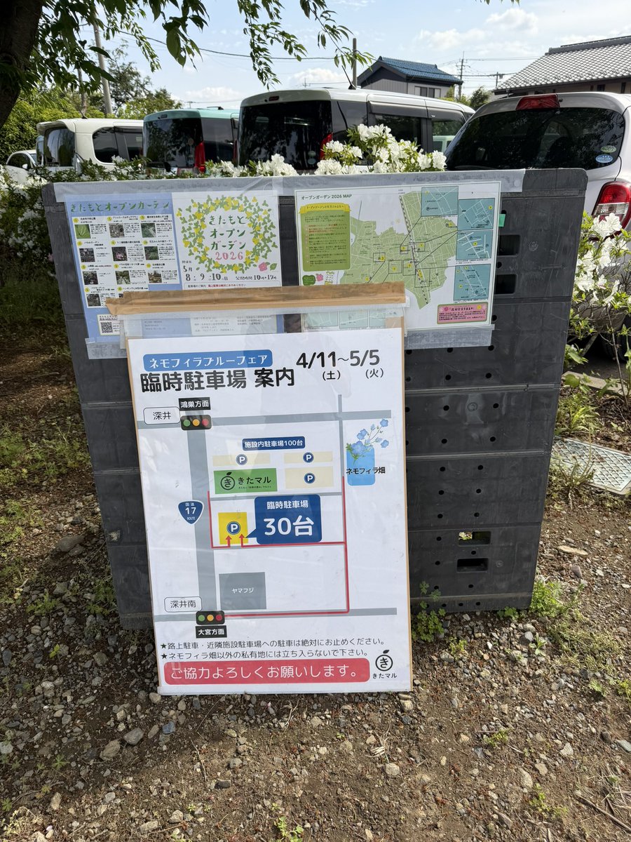 yujireds48's tweet photo. 北本の
ネモフィラブルー
見に来てくださいね。満開です♪ https://t.co/6fpnXazMxu