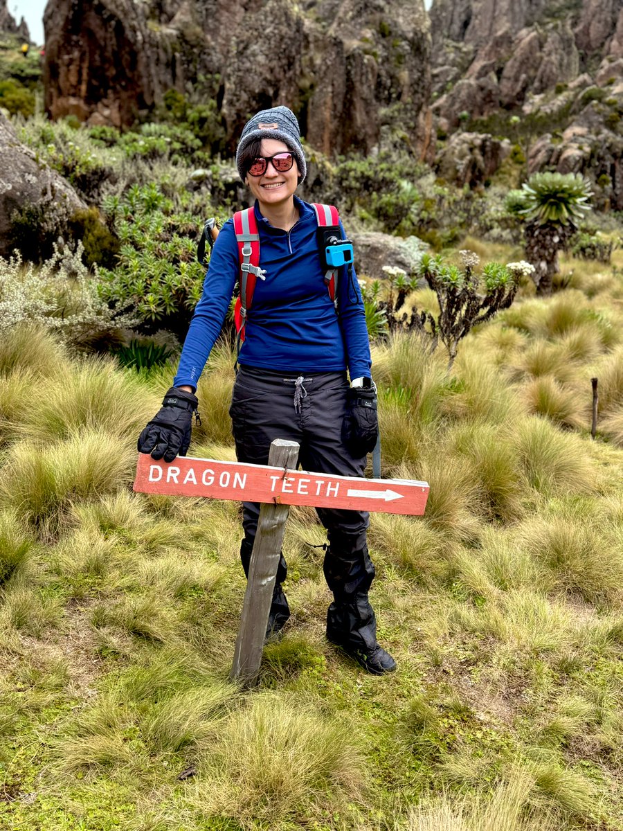 Hike_with_Kate's tweet image. I don’t disagree! 🇰🇪❤️

In the heart of the Aberdares, standing before the sporadic dragon teeth, on my way to Mount Satima’s summit. 

Nature is undefeated.

#kenya