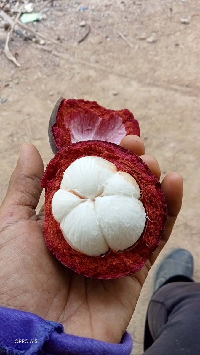 พอใจ tweet media