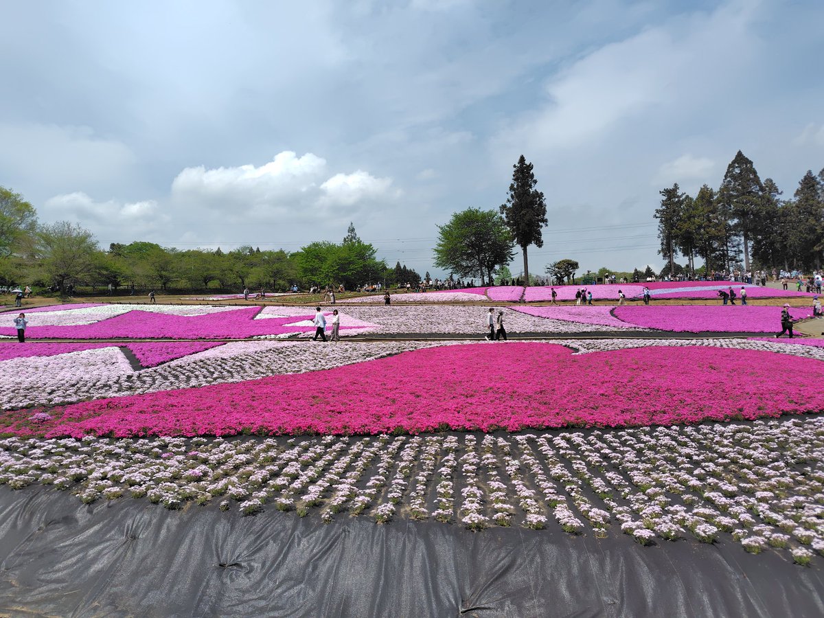 ももここ（ばむちゃん） tweet media