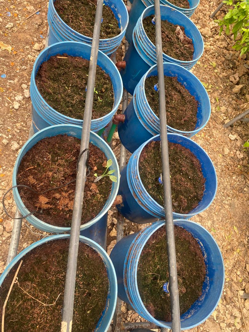 Jakaya Mrisho Kikwete Foundation (JMKF) tweet media