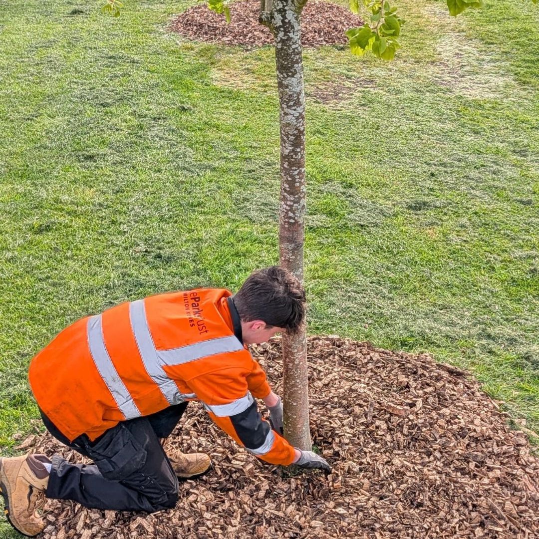 The Parks Trust tweet media