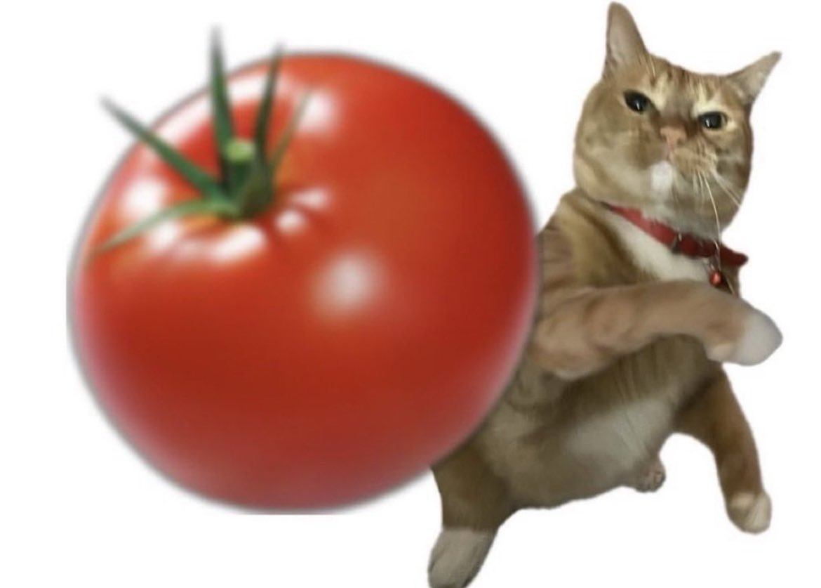 Starscream Prime - Tigres 8⭐ tweet media