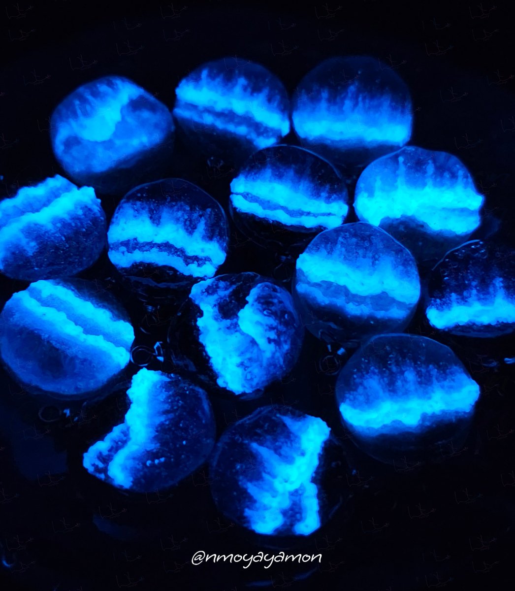 んもや@ﾃﾞｻﾞﾌｪｽ(土)南4階R-415 tweet media