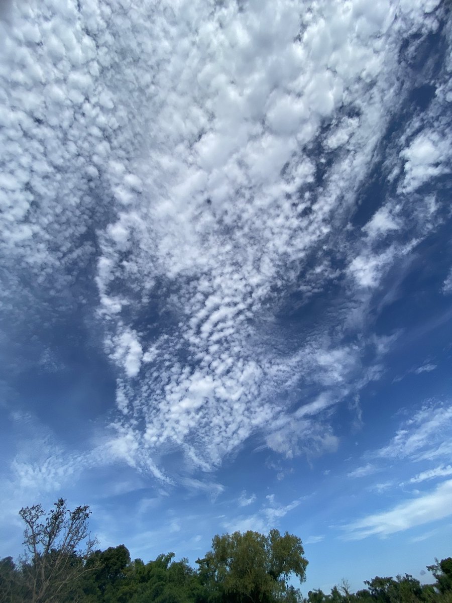 Bee1176974's tweet photo. ☁️🤓😊 https://t.co/tHwemdokf5