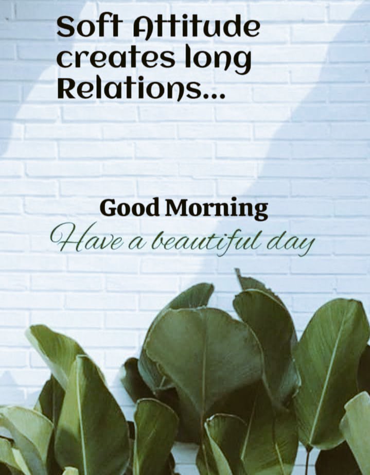 Harshal1781's tweet image. #GoodMorning
#MondayVibes
#MondayMotivation