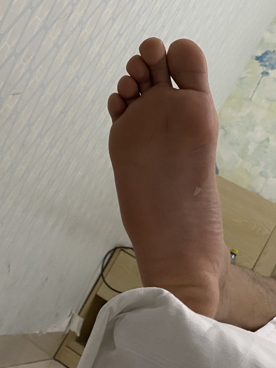 直男的狗 tweet media